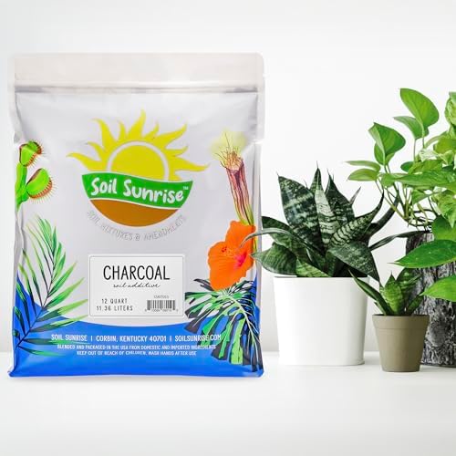 soil sunrise horticultural charcoal for indoor plants (12 shown in use