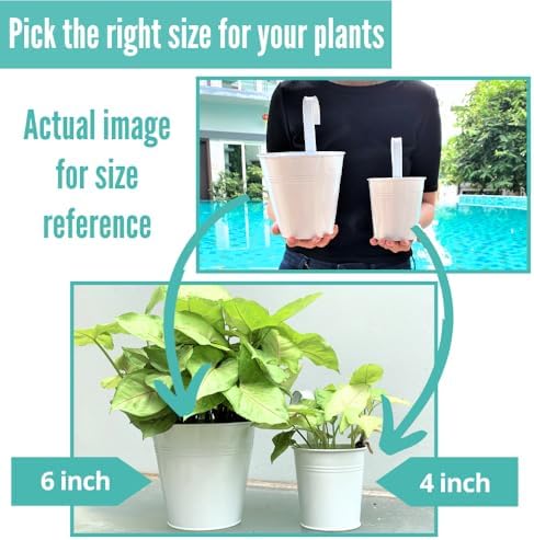 lalagreen round rail planter (6 in, 12 pack) showing dimensions