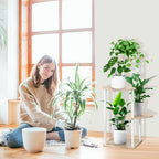 4 tier plant stand indoor, thickened metal wood on a desk or shelf