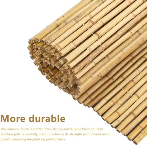 4ft x 6ft natural bamboo fence roll, outside, side view