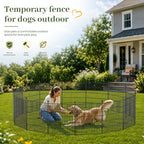 no dig garden fence outdoor for yard, 24in on a desk or shelf