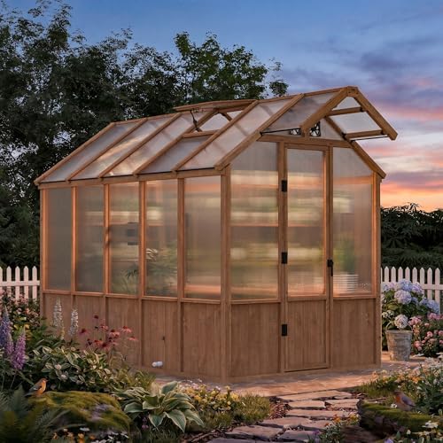 modern shade everbloom 6.5'x10' wooden greenhouse, 8' extra-tall shown in use