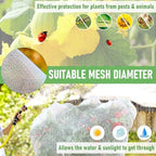 fruit tree netting, plant mesh netting for garden, close-up detail