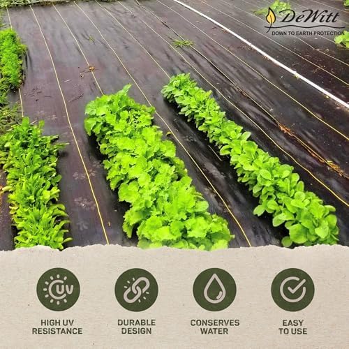 dewitt pro-5 weed barrier fabric 5 oz, 6 shown in use