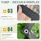 clear tarp with grommets 8x12ft clear tarps heavy showing dimensions