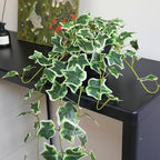 fake english ivy plants in pots set of, package contents