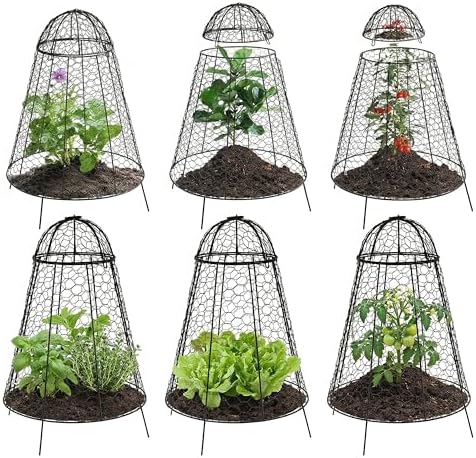 sunnydaze chicken wire cloche covers for plant protection, main product view