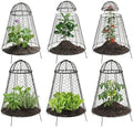 sunnydaze chicken wire cloche covers for plant protection, main product view