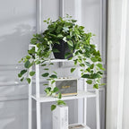 365 blooming decor realistic artificial potted pothos ivy, close-up detail