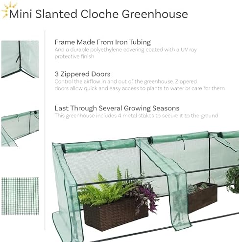 sunnydaze outdoor portable mini cloche greenhouse with 3 shown in use