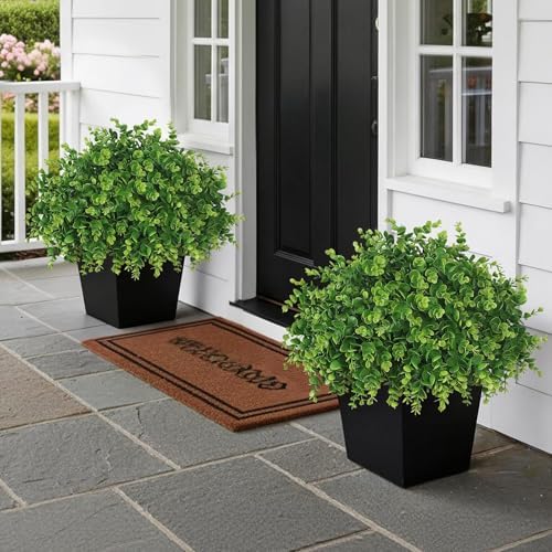 2set lifelike touch fake eucalyptus topiary ball trees shown in use