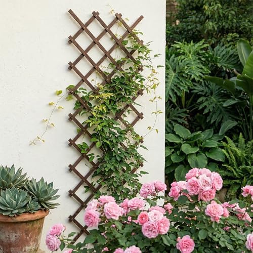 expandable wooden lattice panels outdoor garden fence trellis, package contents