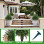 yangrass 2 pack 23" artificial cedar topiary ball showing dimensions