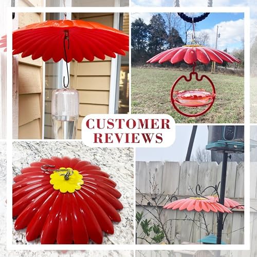 10.5 inch Hummingbird Feeder Shade Dome Cover,Rain Guard,Weather Guard for Bird Feeder, Umbrella Cover for Bird House for Outdoor,Squirrel Baffle,Flower Design(Red) 2 Pack
