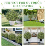 ereal 24'' artificial boxwood topiary, pack of 2 showing dimensions