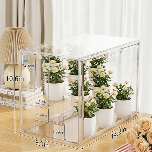clear mini indoor greenhouse, with hygrometer and grow shown in use
