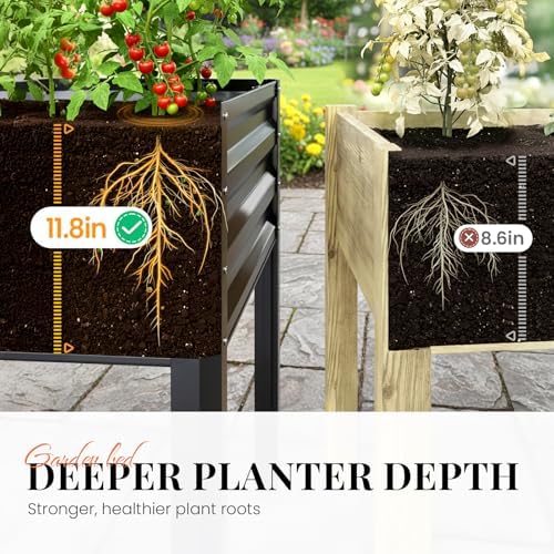 king bird large raised garden bed with legs showing dimensions