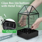 highfree glass terrarium with metal tray, glass greenhouse, side view