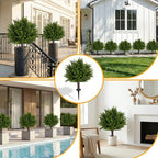 24.5 inch set of 2 topiary cedar trees, package contents