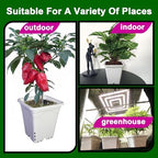 hg7x7sw 7"x7" square white pot, 9" tall pack, front angle view