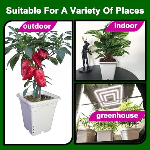 hg7x7sw 7"x7" square white pot, 9" tall pack, front angle view