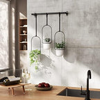 umbra triflora hanging planter, indoor herb garden, set on a desk or shelf
