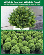 27.6'' artificial cedar topiary trees with spikes, set, side view