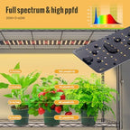 indoor greenhouse with grow light,4-tier plant shelf, 30x14x59in on a desk or shelf