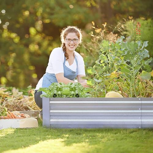 galvanized raised garden bed 6x3x1ft 2-pack on a desk or shelf