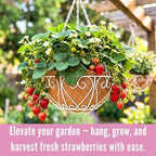 lalagreen hanging planter for outdoor (20 inch, 4, side view