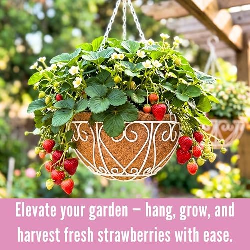 lalagreen hanging planter for outdoor (20 inch, 4, side view