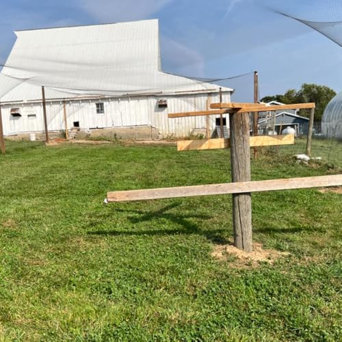 junflying 50x50 ft chicken netting for hawks & on a desk or shelf