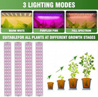 indoor greenhouse with grow light - 5 tier, close-up detail