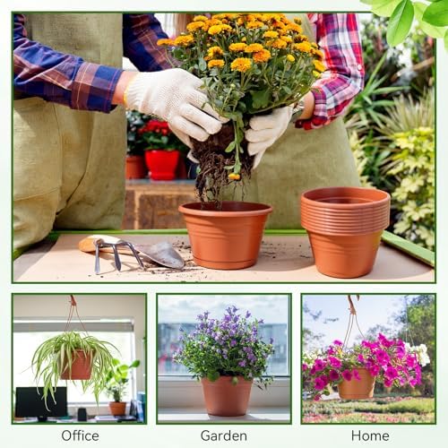 roshtia 20 pcs 10 inch hanging baskets for on a desk or shelf