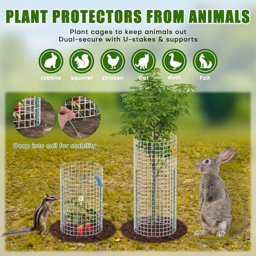 10 set plant protectors from animals, galvanized plant shown in use