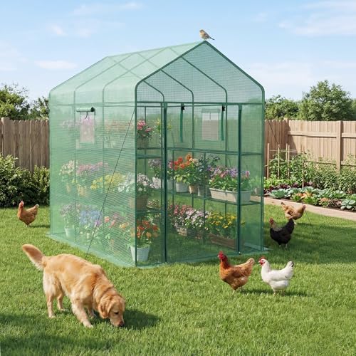 vevor walk-in greenhouse, 54" x 81.1" x 77.2", front angle view