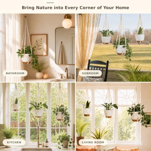 self watering hanging planters for indoor plants large, close-up detail