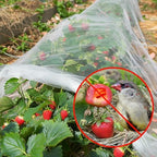 gonlei garden netting 2pack 10x30ftplants garden mesh berry, close-up detail