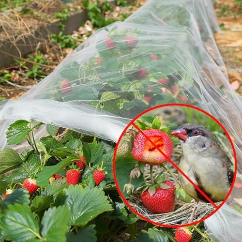 gonlei garden netting 2pack 10x30ftplants garden mesh berry, close-up detail