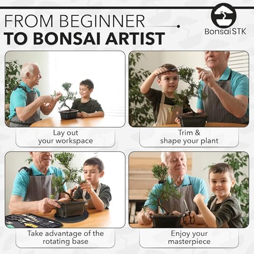 bonsai toolkit - mini garden tools, bonsai wire, front angle view