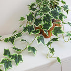 fake english ivy plants in pots set of on a desk or shelf