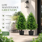 thkful 2 pack artificial boxwood topiary trees with, close-up detail