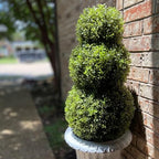 haute decor adjustable artificial boxwood topiary tree, front angle view