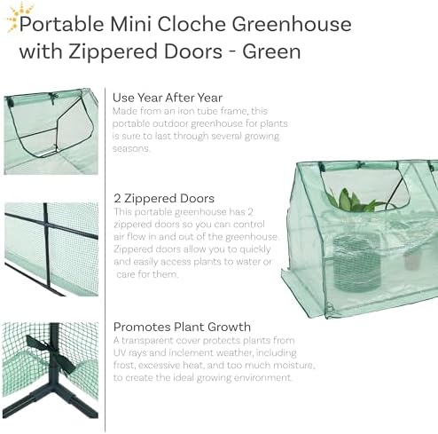 sunnydaze outdoor portable mini cloche greenhouse with 2 shown in use
