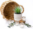 kurrajong farmhouse artificial plant | 8" fake plant, package contents