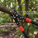 agricut telescopic garden loppers anvil - extendable tree showing dimensions