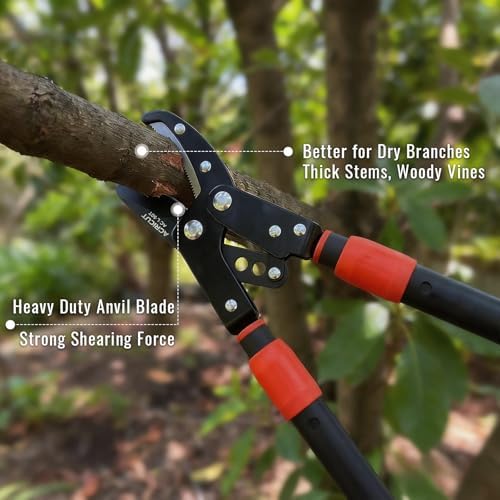 agricut telescopic garden loppers anvil - extendable tree showing dimensions