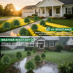 artificial 2 pack cedar topiary trees with ground, front angle view