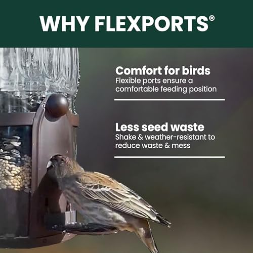 perky-pet squirrel-be-gone max bird feeder, (4) flexport feeding, side view