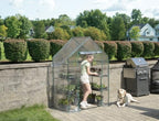 miracle-gro walk-in greenhouse, removable shelves, transparent, 4'8"x29" shown in use